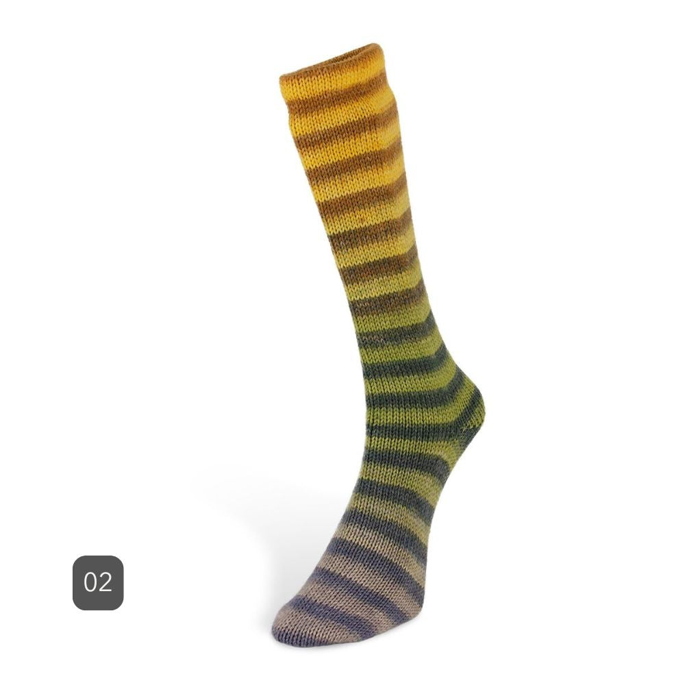 Laines du Nord - 6 ply Paint Socks