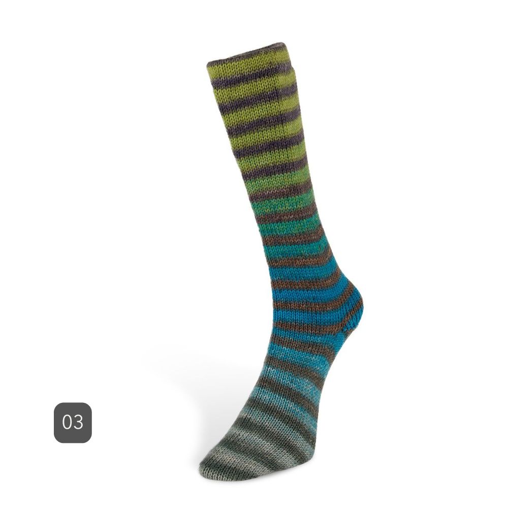 Laines du Nord - 6 ply Paint Socks