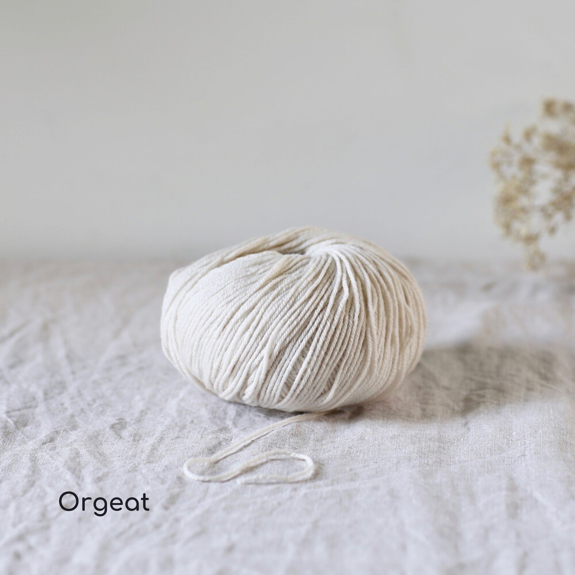 De Rerum Natura - Albertine